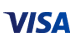 Visa information icon